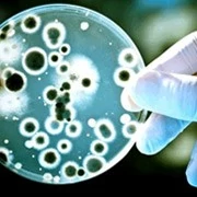 Биоудобрение «“ЗЕЛЕНЫЙ ЛУГ”»