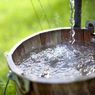 Биоудобрение «“ЗЕЛЕНЫЙ ЛУГ”»