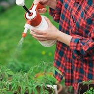 Биоудобрение «“ЗЕЛЕНЫЙ ЛУГ”»